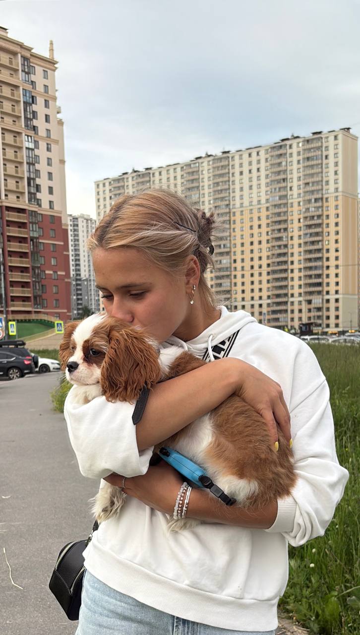 https://i5.imageban.ru/out/2025/07/01/74779fdbb824a9c4b2746041fb3860fd.jpg