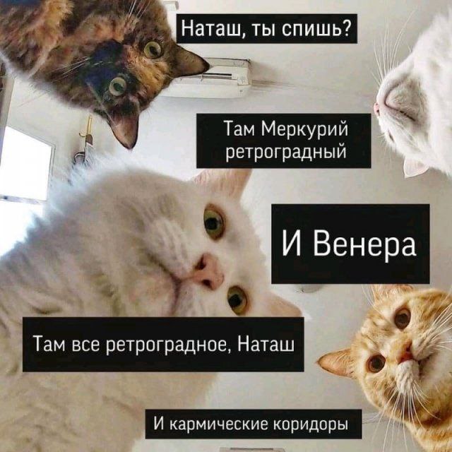 https://i5.imageban.ru/out/2025/07/18/b58bfffbd41070ec9ff41f34e07d44e7.jpg