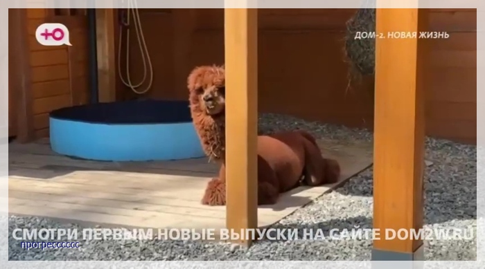 https://i5.imageban.ru/out/2025/07/26/9d6b2d135d591acfa0354f443569d9da.jpg
