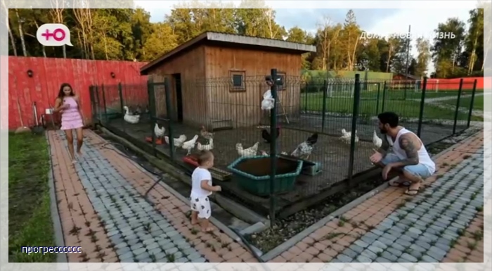 https://i5.imageban.ru/out/2025/08/10/b1863b34a0f4bafcf74ff0d705395917.jpg