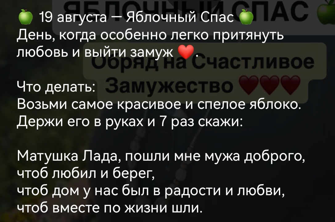 https://i5.imageban.ru/out/2025/08/15/30fed9493e701cc99e26ba592743fe9c.jpg
