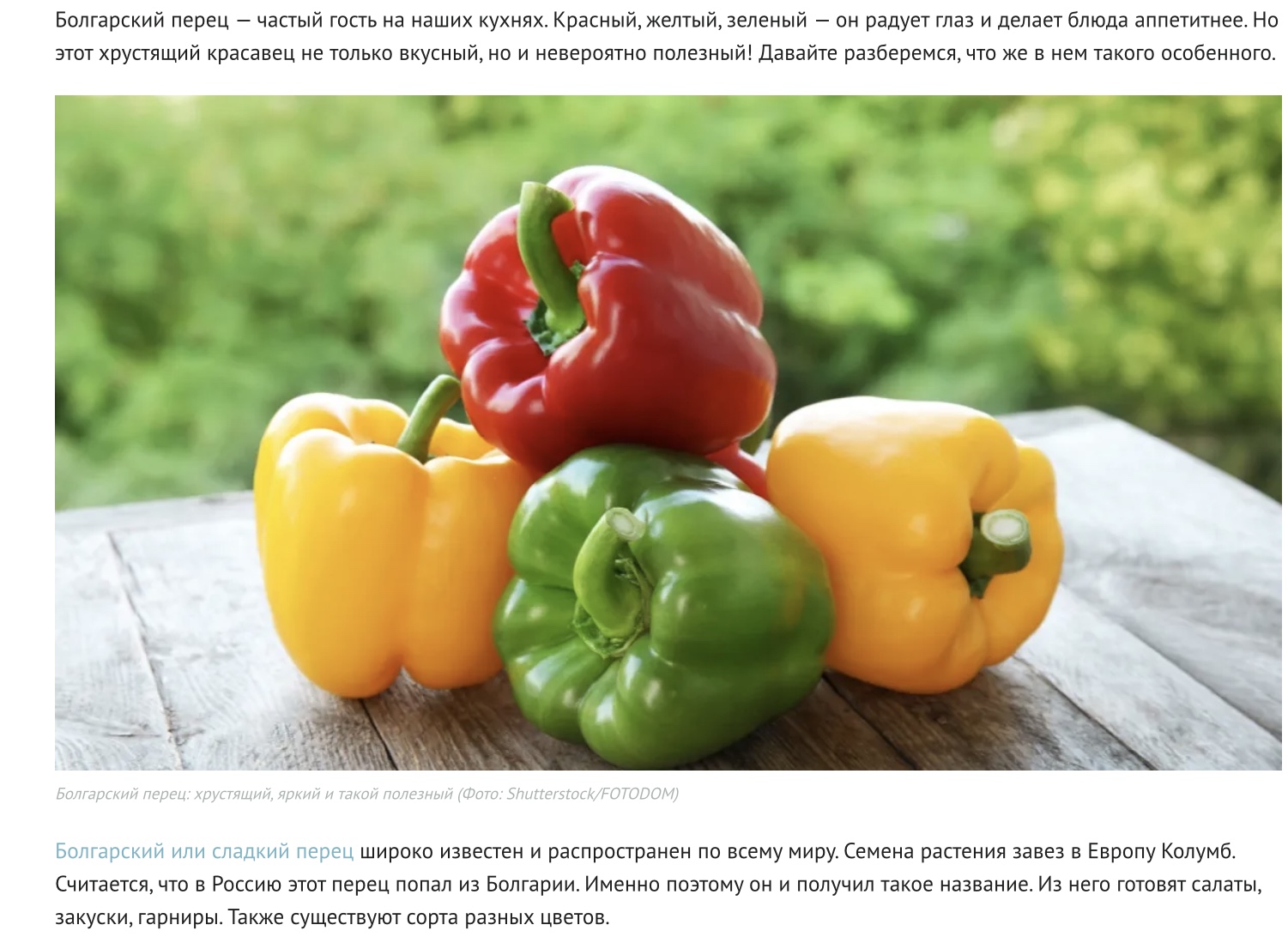 https://i5.imageban.ru/out/2025/09/04/297b3af52df8b672b5aaffd6ea524a9d.jpeg