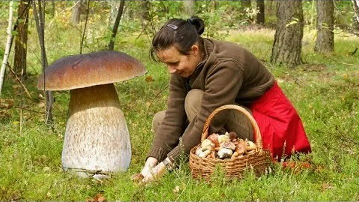 https://i5.imageban.ru/out/2025/09/07/d643cc012891c3dcf88f6c7e2f836ef0.webp