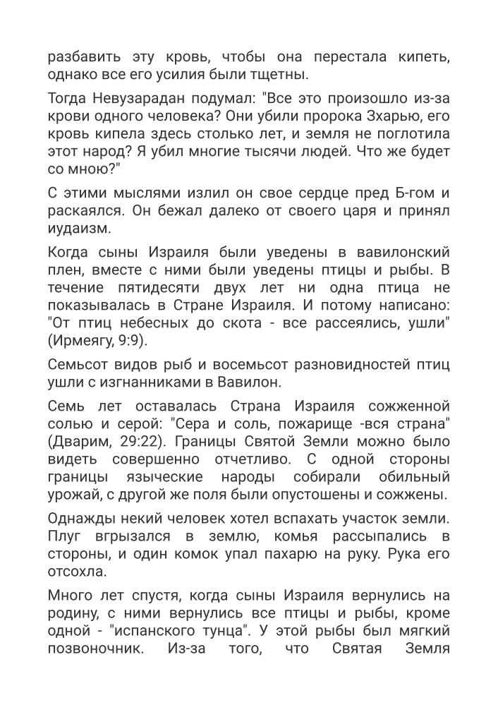 тиша.jpg