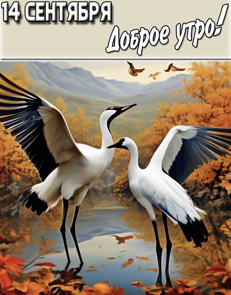 https://i5.imageban.ru/out/2025/09/14/809131bb10733c9c6ce426c3cc98f206.jpeg