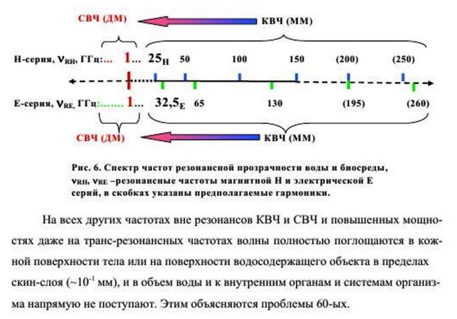 https://i5.imageban.ru/out/2025/09/22/58b8ed1463de1cdb0a13f734e3ae716e.jpg