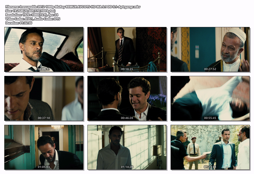 Inescapable 2012 1080p BluRay REMUX AVC DTS-HD MA 5.1 DD 5.1-Aptrgangr screenshots