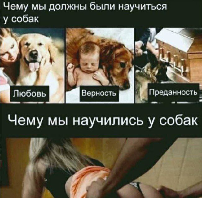 a4e454e8cffb35c6a10d23b210f58ab4.jpg