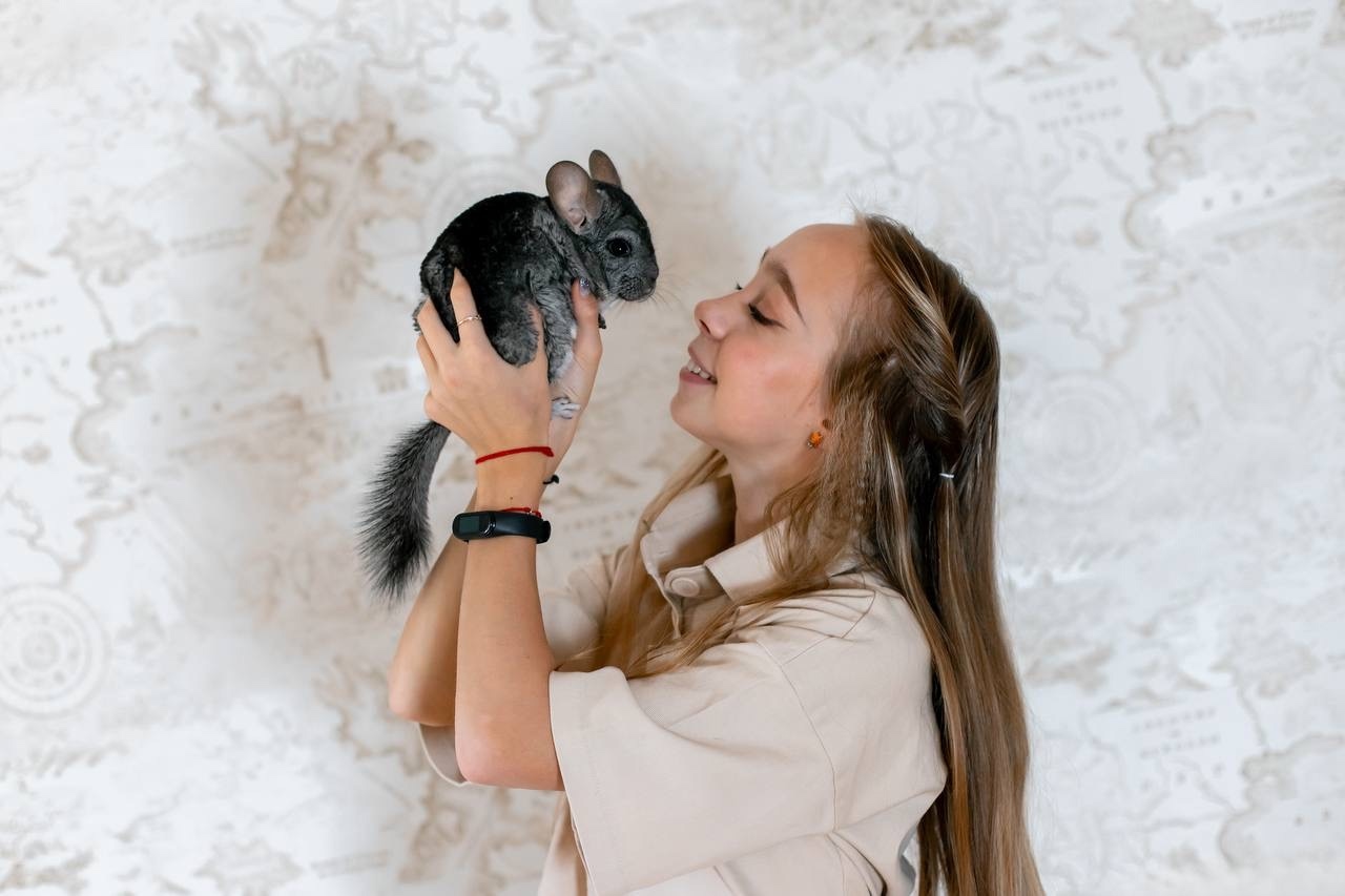 https://i5.imageban.ru/out/2025/10/08/fb80acdd5038d47fae6d8018bba432ea.jpg