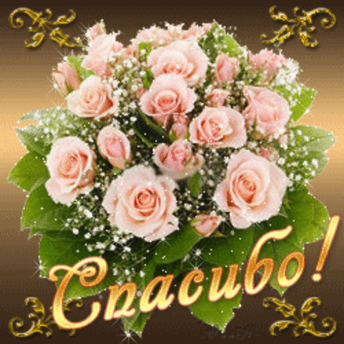 https://i5.imageban.ru/out/2025/10/09/9c8853d6253dc8938aff25f2737e8c5a.gif