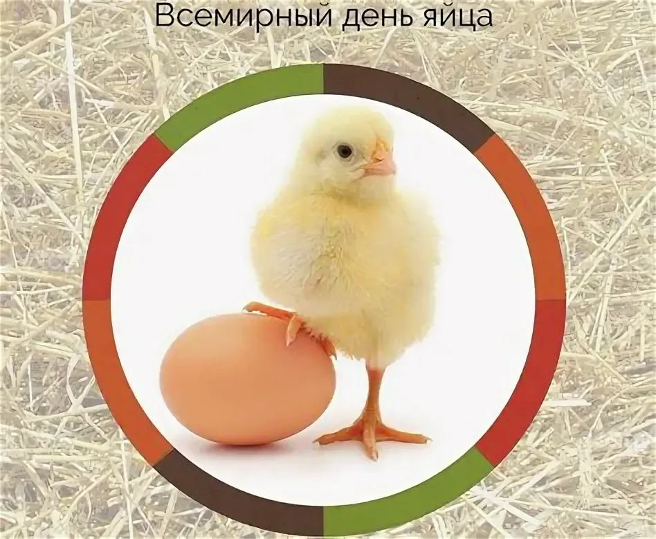 https://i5.imageban.ru/out/2025/10/10/d5dccaf1faa5b4a7b7d847a28575131a.webp