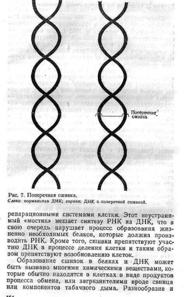 https://i5.imageban.ru/out/2025/10/15/ae12534c2d5e27ae448ef601e61ff892.jpg