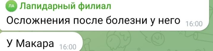 https://i5.imageban.ru/out/2025/10/22/278d4a2e37d6ecb18f4603890ef80ffe.jpg