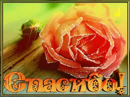 https://i5.imageban.ru/out/2025/10/23/625c15435ab4efdc39a78c616555eab1.webp