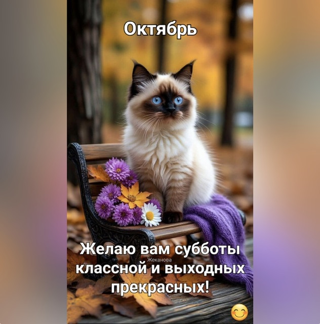 https://i5.imageban.ru/out/2025/10/25/89cafd1f248b1ed10350015e99b38f7b.jpeg