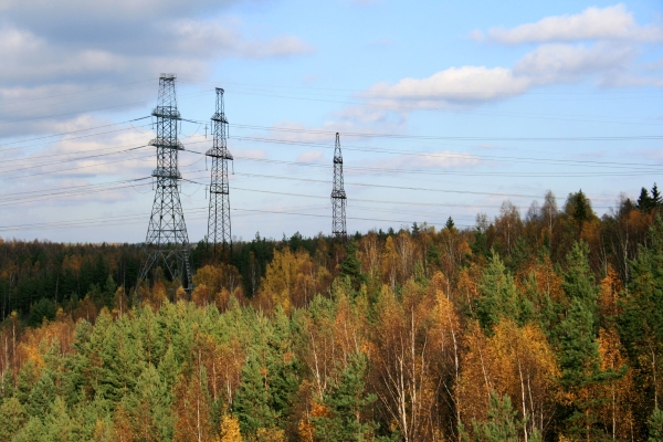 «Россети» усилили защиту ЛЭП в Санкт-Петербурге и Ленобласти