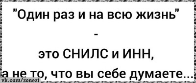 изображение_2025-11-06_001102672.png