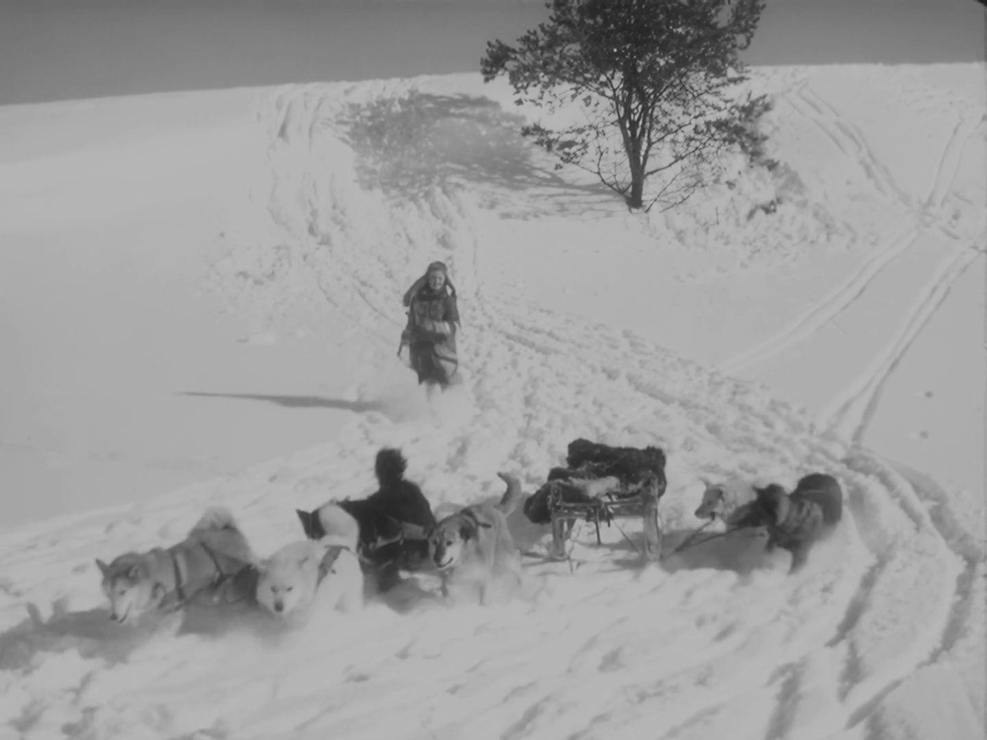 Dog_Dingo_1962_DVDRipAI_1080p_prob4.mp4_snapshot_48.40_[2025.11.14_15.06.10].png