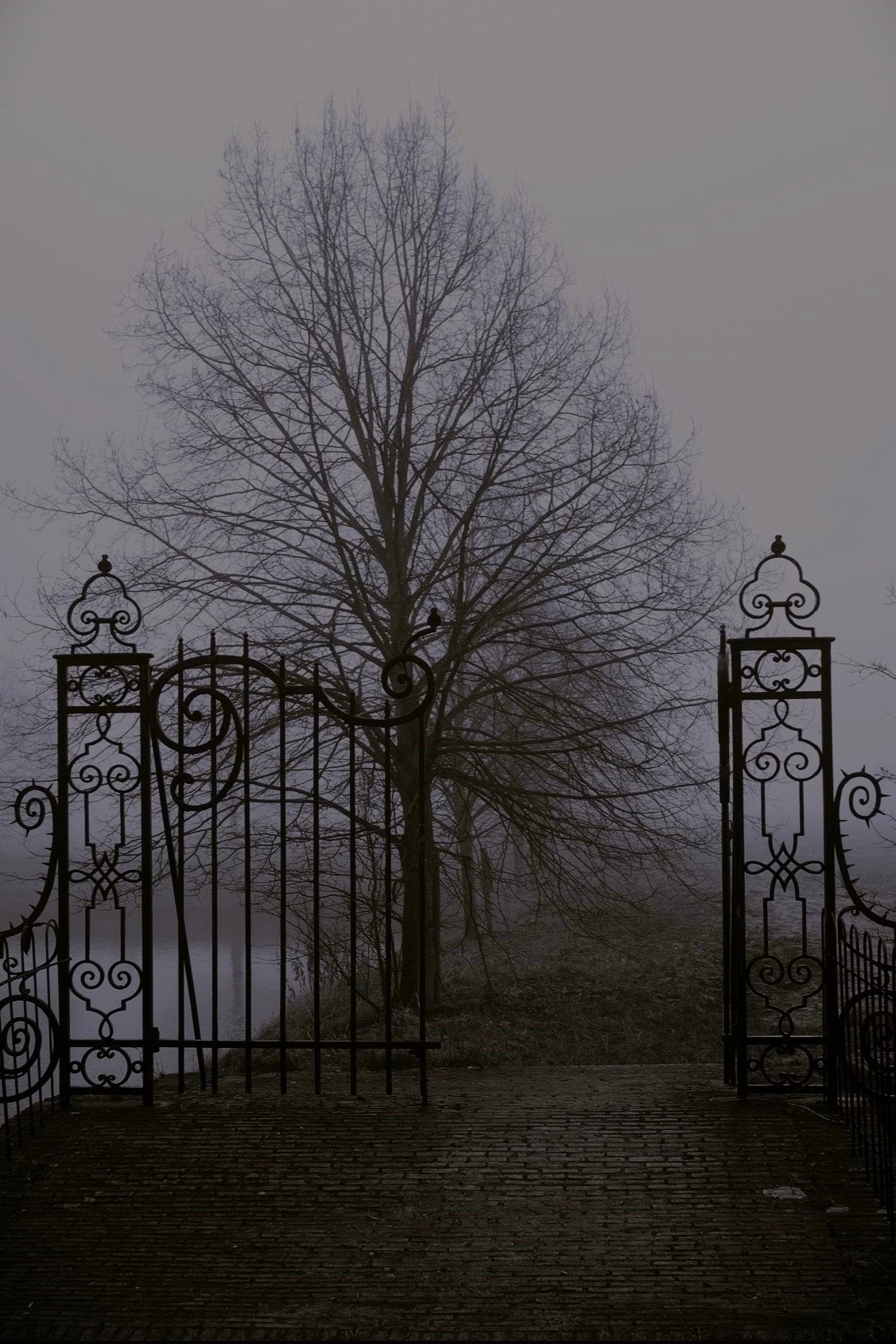 4GP_qybVfoDUmdoQVyZURE_ic7qmSACFezI0aBSoEQdmE0nZMEC5u0tCKNmIZQK87JOWXj4ggAirq9RlscM4EBW3.jpg