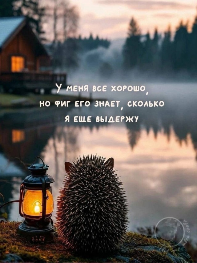 https://i5.imageban.ru/out/2025/11/27/f6521a2f6a0d2a8fb0af73289bf95cff.jpg