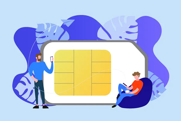 �����������, �������� � ��������: ������ ������������ ������ ��������