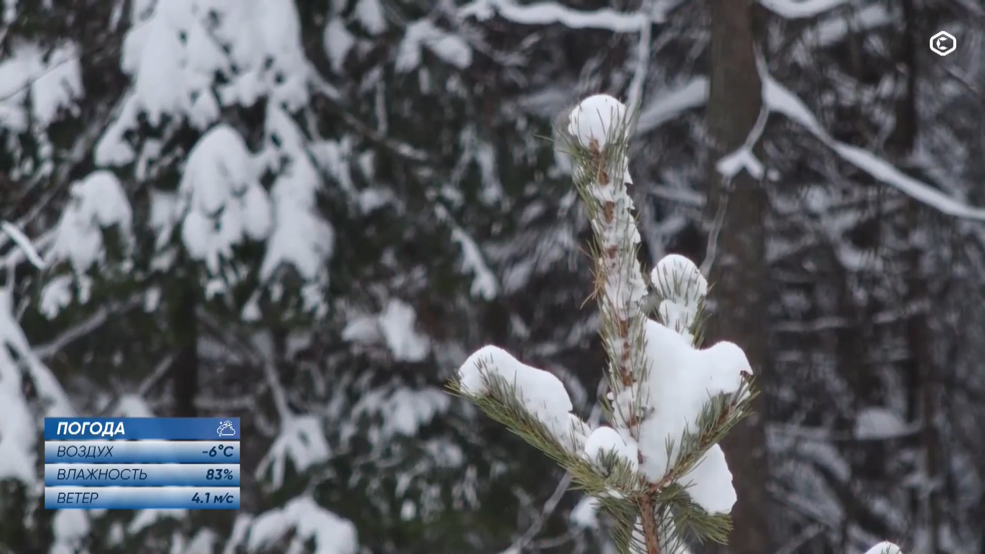 cap_2025-12-14_1.Лыжные.гонки.Кубок.России.2025-26.Этап.3.Чусовой.Разельный старт.Свободный.стиль.Женщины.ТВ.Спорт.1080p.25fps.ru_00_01_25_02.jpg