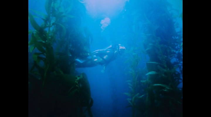 Becoming.Cousteau.2021.BDRip-ylnian.avi_snapshot_00.02.22.438.png