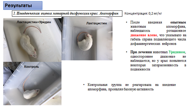 Результаты исследования 2