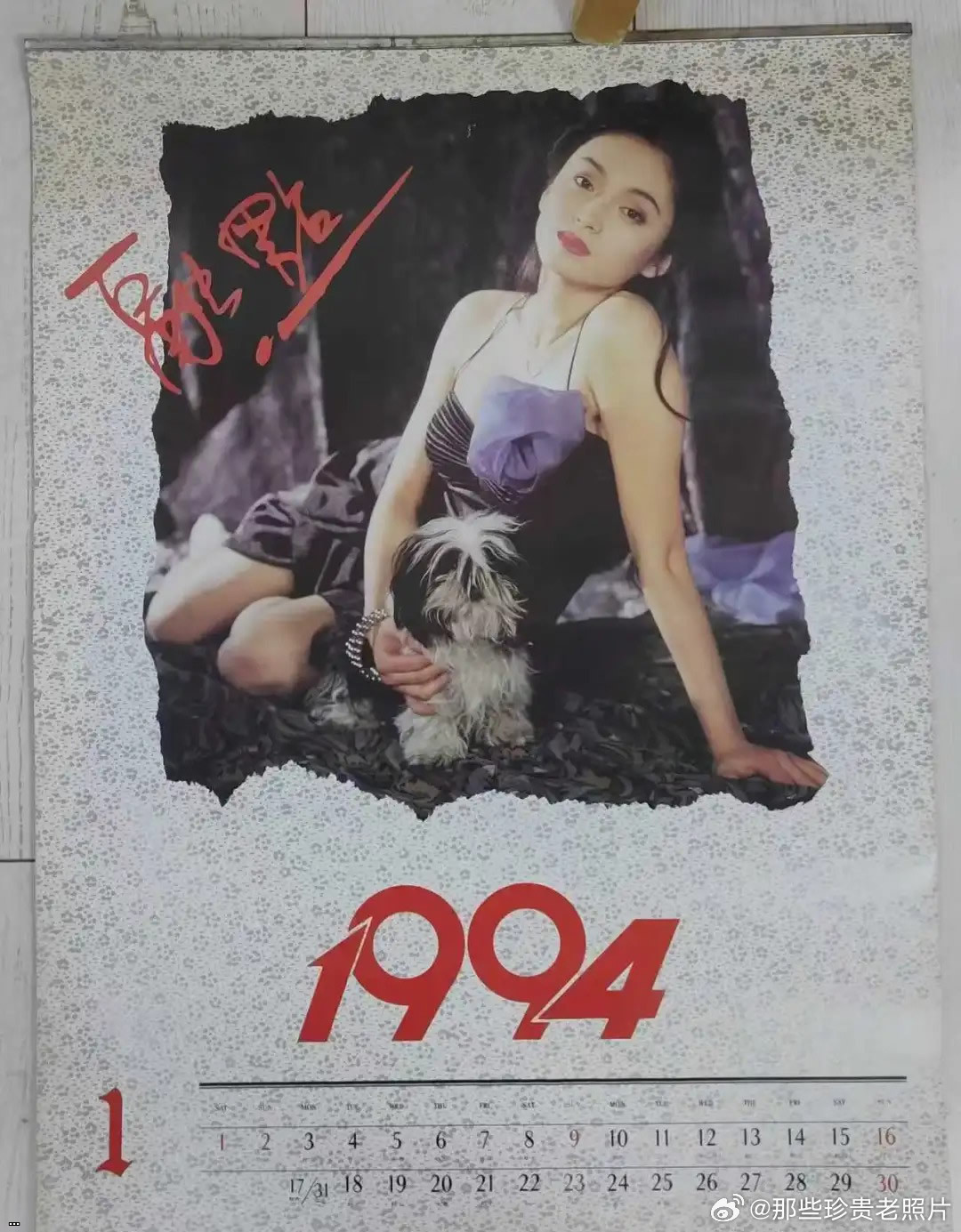1994??????202601031.jpg