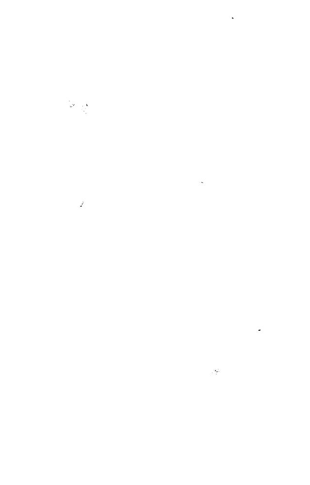 Гудкайнд Т. - Восьмое Правило Волшебника, или Голая империя. Кн. I (Век Дракона) - 2009_pic10.jpg