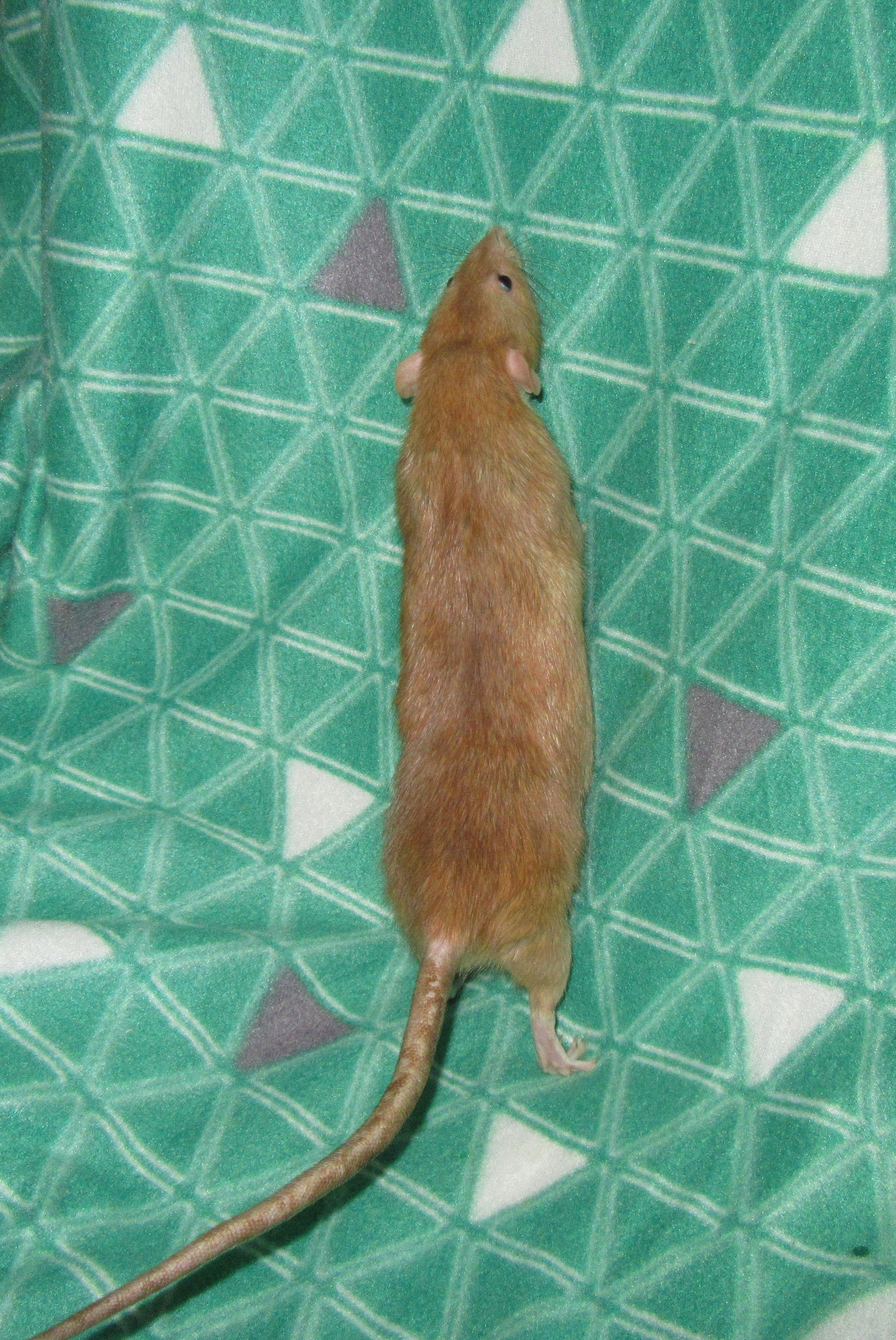 J4 Юрчик 05.jpg