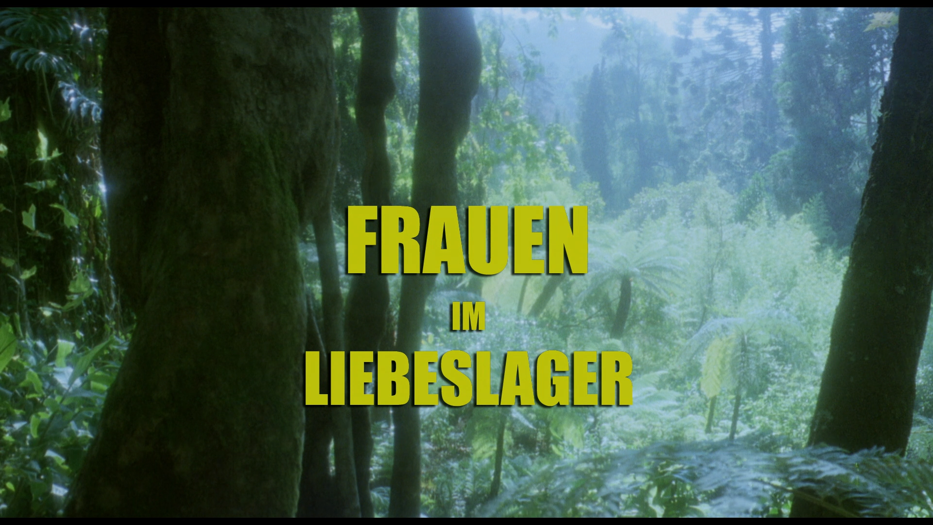 Frauen im Liebeslager 1977 (Uncut version)003679.png