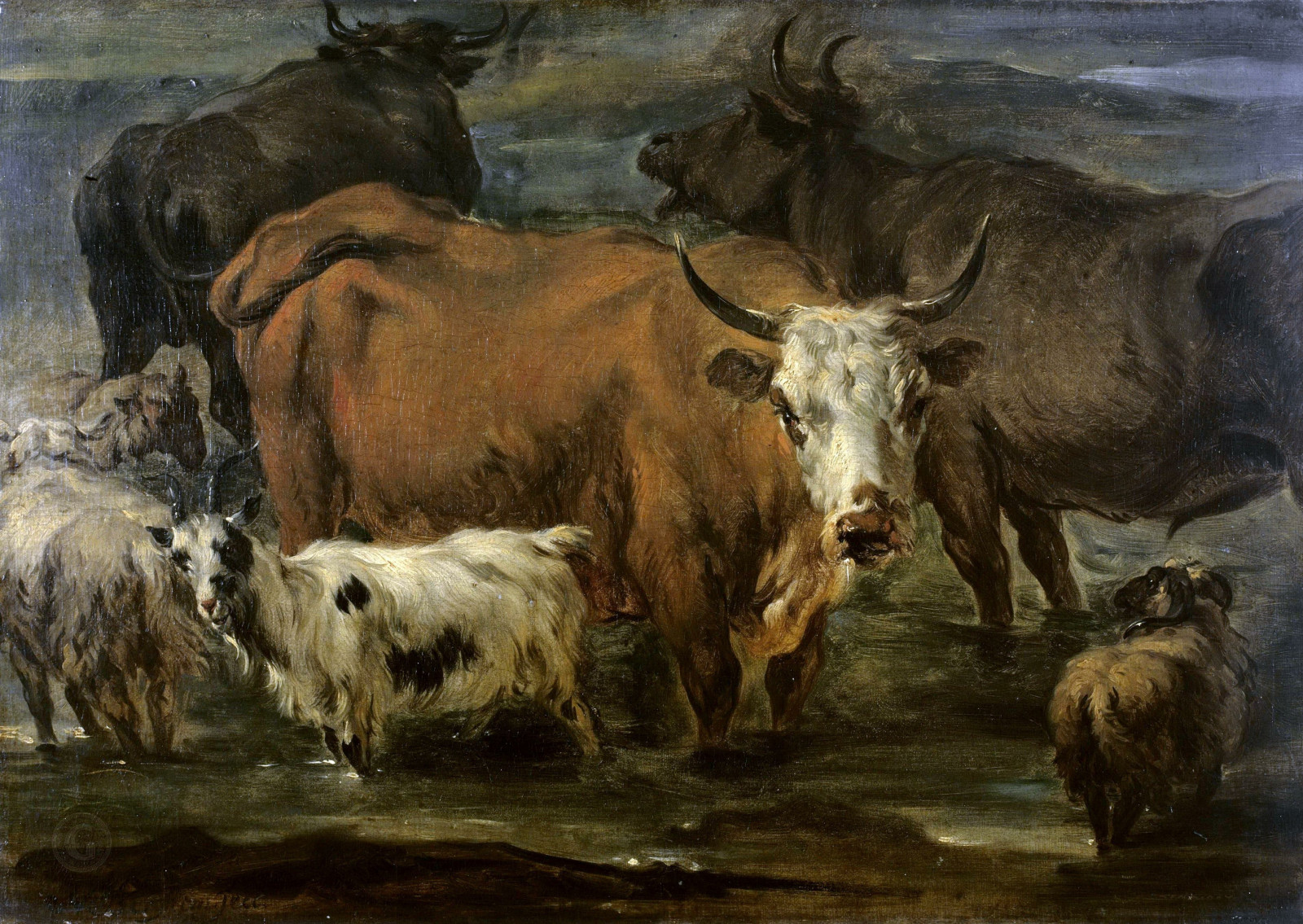 Без названия (3).jpg