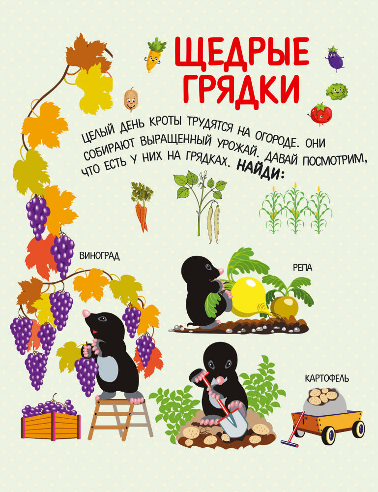 Доманская Л.В., Максимова И.Ю. - Овощи, фрукты, ягоды. Что где растёт (Пряталки и находилки) - 2017_pic5.jpg