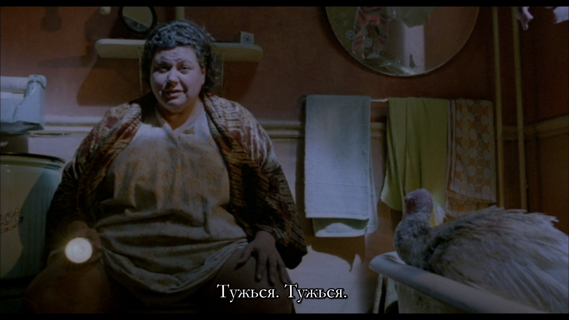 vlcsnap-2026-01-31-15h58m50s639.png