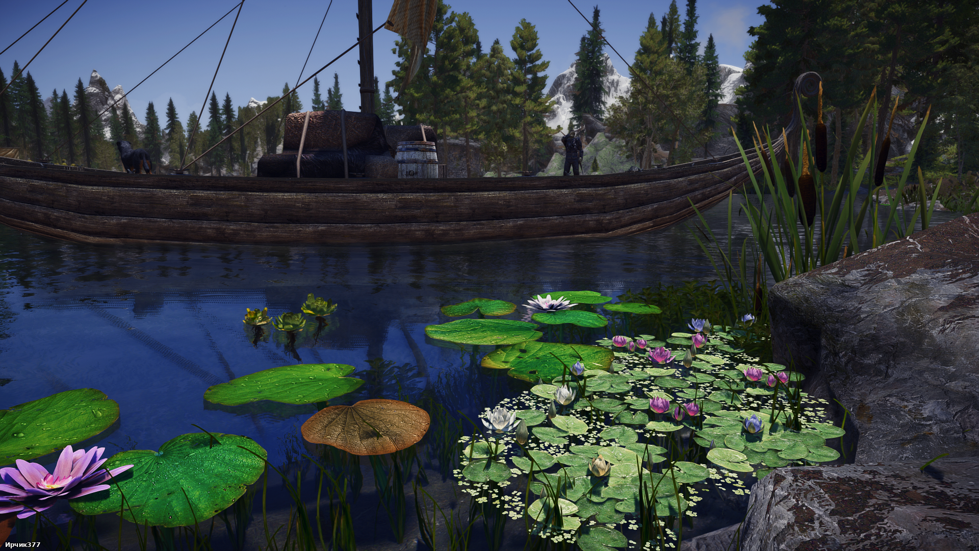 The Elder Scrolls V  Skyrim Special Edition Screenshot 2026.01.31 - 19.46.35.92.png