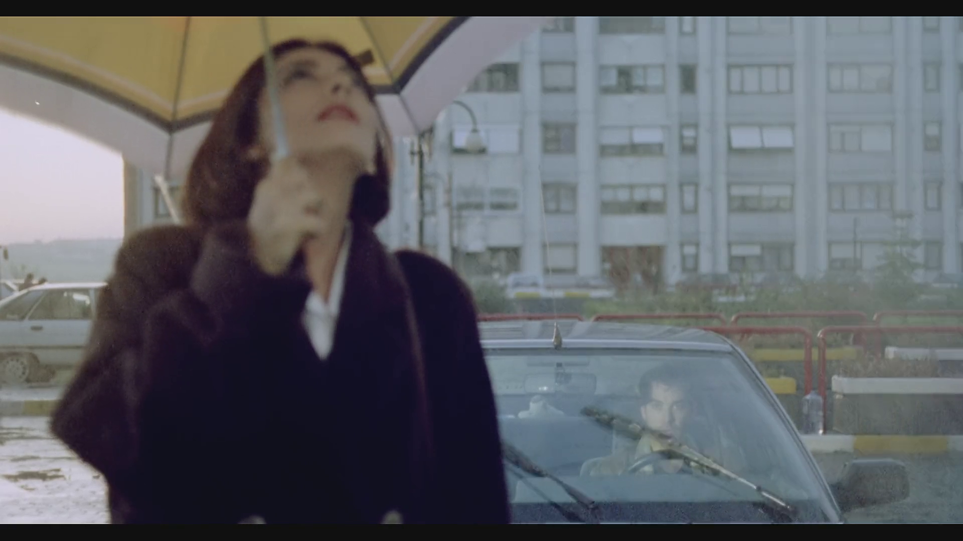 vlcsnap-2026-02-07-20h39m41s022.png