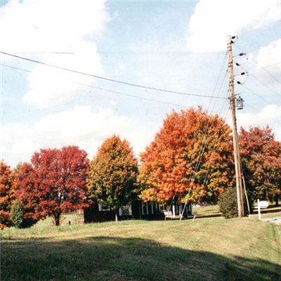 (Indie Rock) Vegas Water Taxi - Дискография...