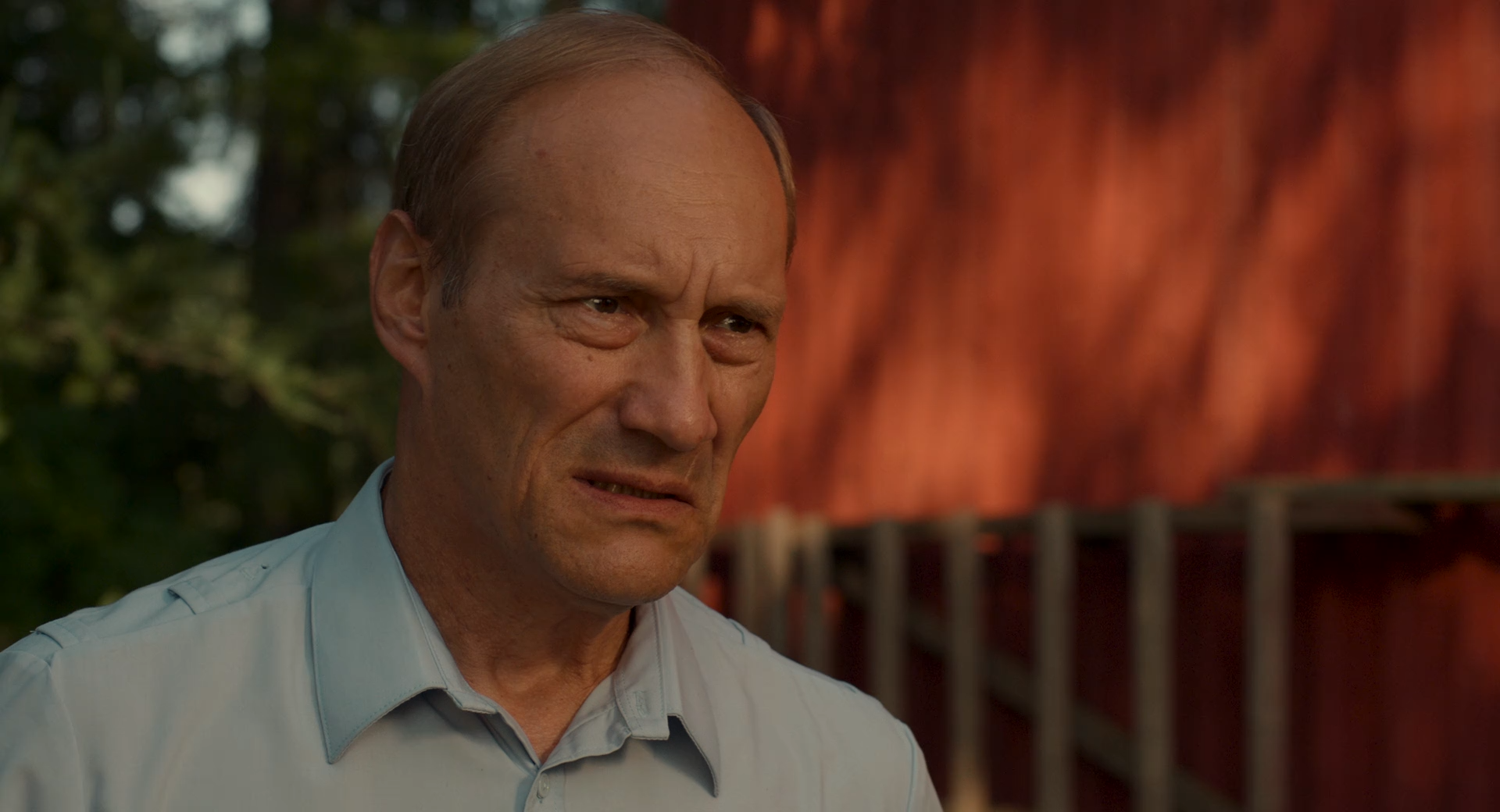 Догги 2025 WEB-DL 1080p.mkv_snapshot_01.02.30.png