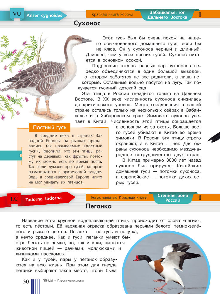 Целлариус Е. Ю. (ред.) - Красная книга России - 2017_pic30.jpg