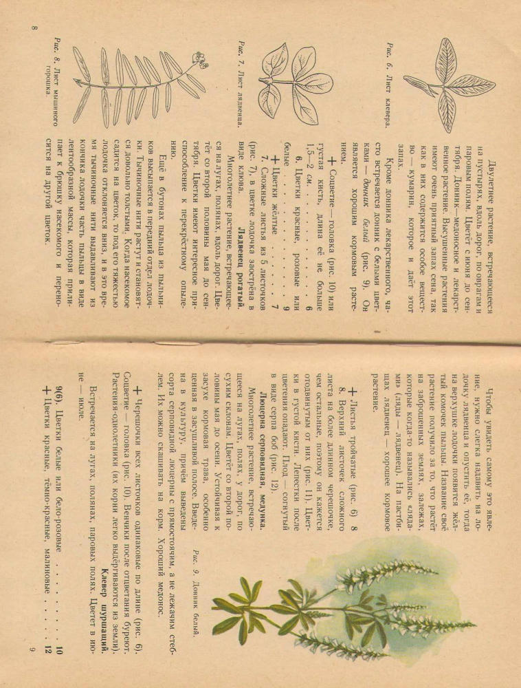 Иванова И. В. - Что растет вокруг тебя (1962)_pic5.jpg