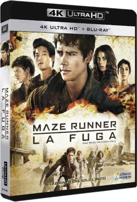 Maze Runner - La fuga (2015) Full Blu-Ray 4K 2160p UHD HDR 10Bits HEVC ITA DTS 5.1 ENG DTS-HD MA 7.1 MULTI