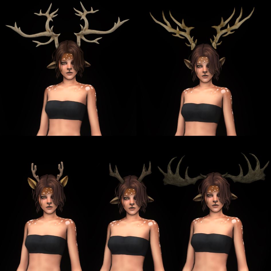 2913a2af4d87a3d53b75931b369fe86a.jpg