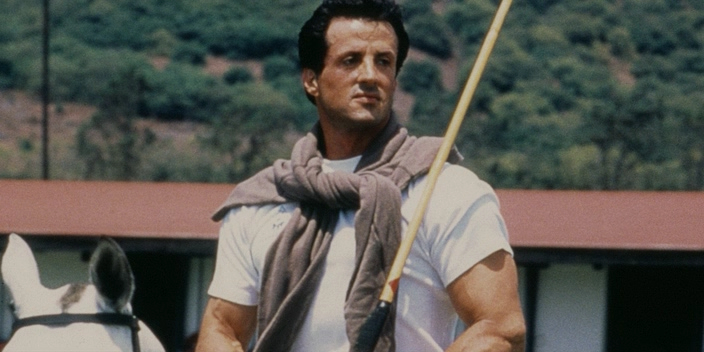 Sly.2023.WEBDLRip-ylnian.avi_snapshot_01.05.32.015.png