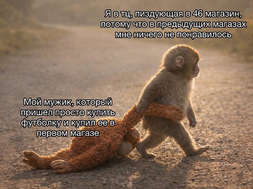 https://i5.imageban.ru/out/2026/02/27/dc53fff7ec12129b6f06236157ddf34e.jpg