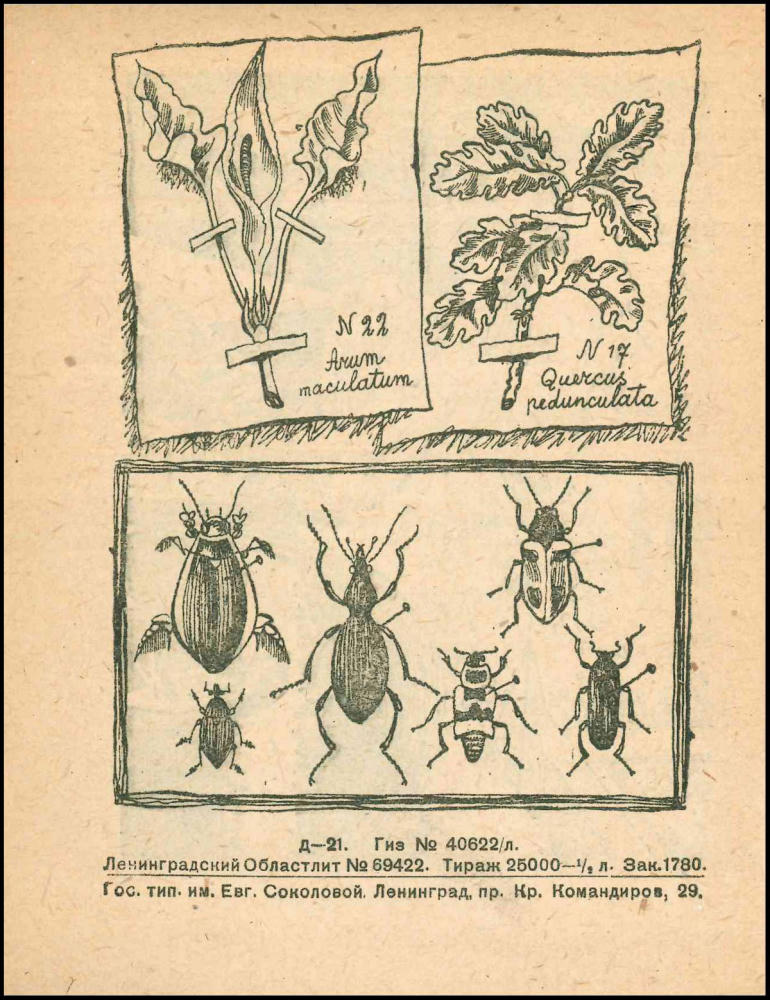 Введенский А.И. - В дорогу - 1930_pic10.jpg