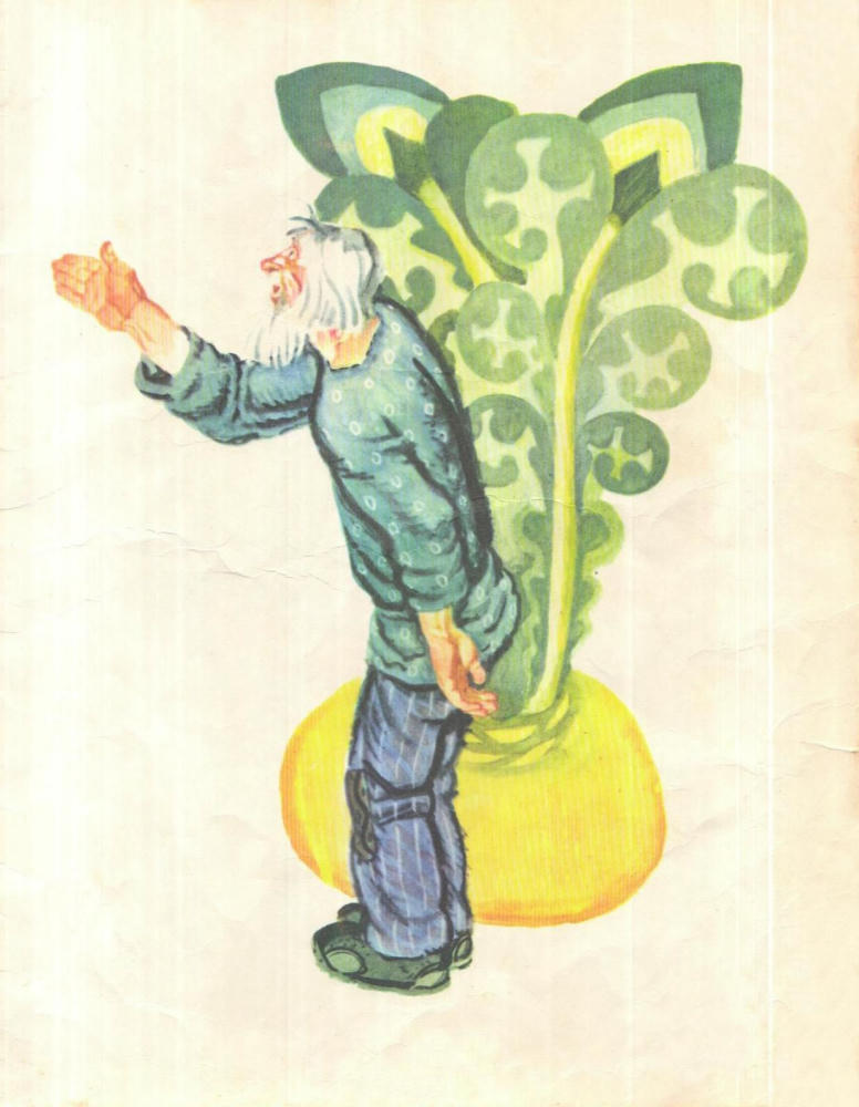 Репка Русская народная сказка (илл В Лосин, 1979)_pic5.jpg