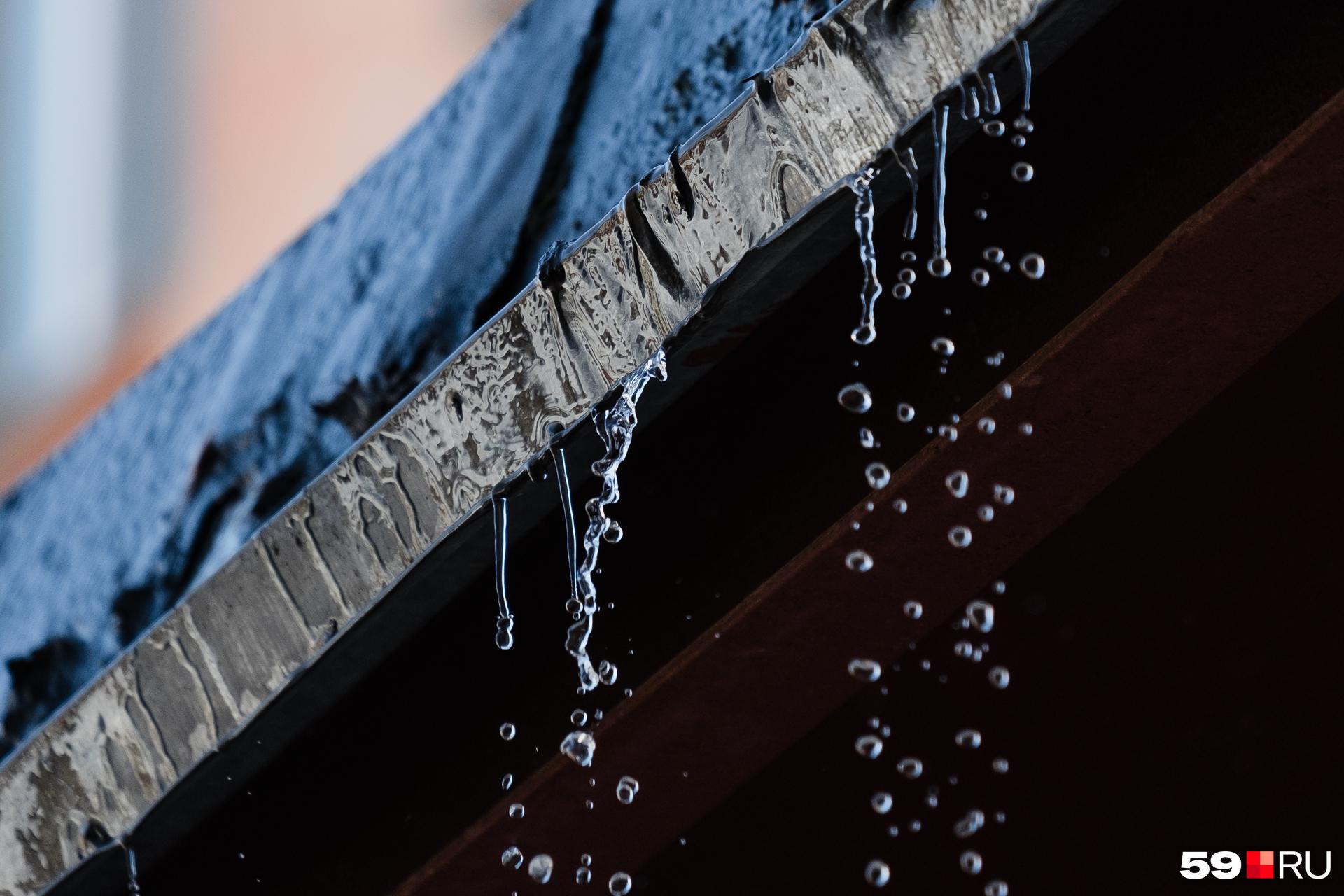 Прогнозы на весну и начало лета в Прикамье: комментарий пермского синоптика