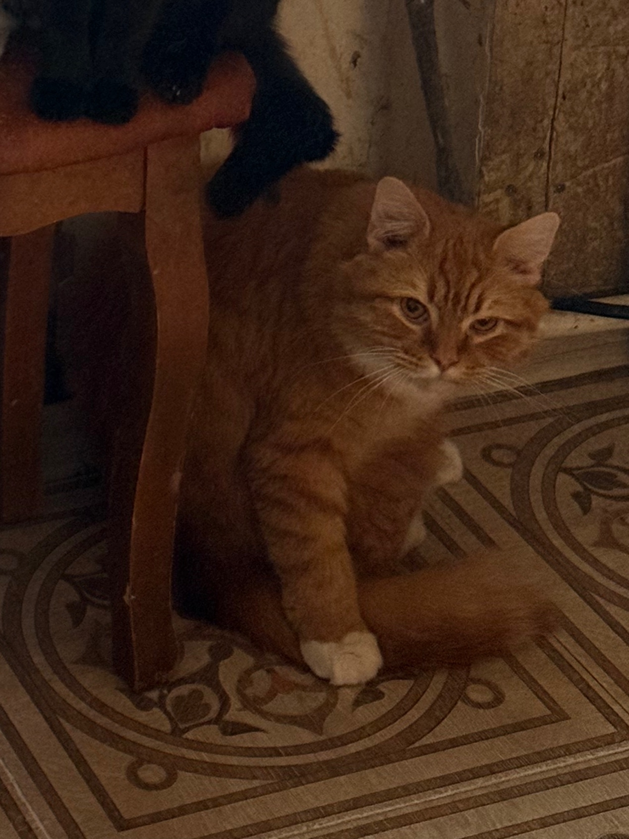 SFn09wAaZkb_C-f7dEQpuR91gdl6BXl13ByCnHzCUi17CHwqvDQryyhRAbY3HLKj23fNH6LKvMO8wnb5y0NYXXCV - копия.jpg