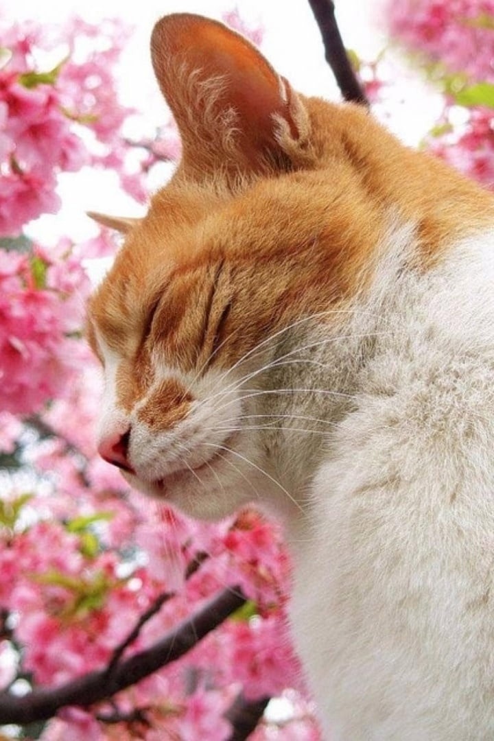 I2P_xYkaJemA3h2o3roMTrJsdAHNGaorXTYAir8DncWYECKrLowxL3anoPgkPszIUruR_vAzbIm1R3ZQrIGBxC4h - копия.jpg